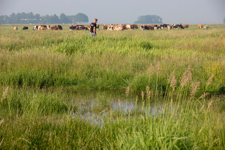Erfcoaches helpen boeren bewegen