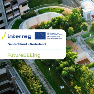 Futurebeeing Hero Interreg