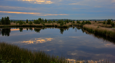 meer met op achtergrond landschap met bomen