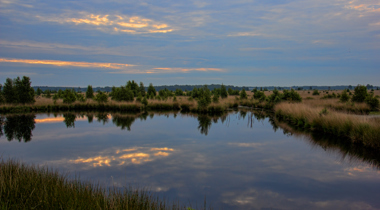 meer met op achtergrond landschap met bomen