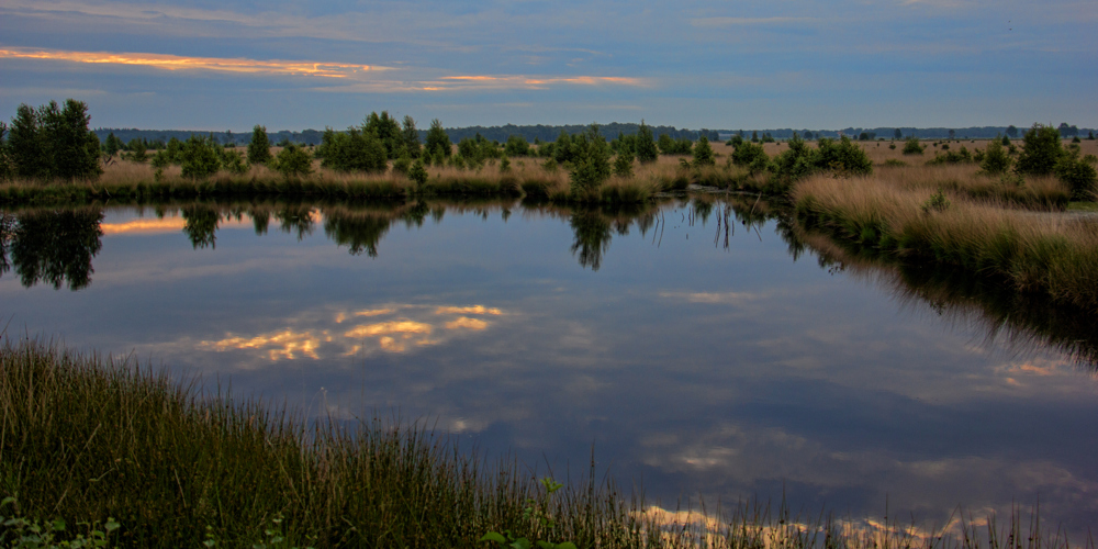 meer met op achtergrond landschap met bomen