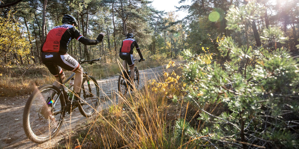 Mountainbikers op een bospad.