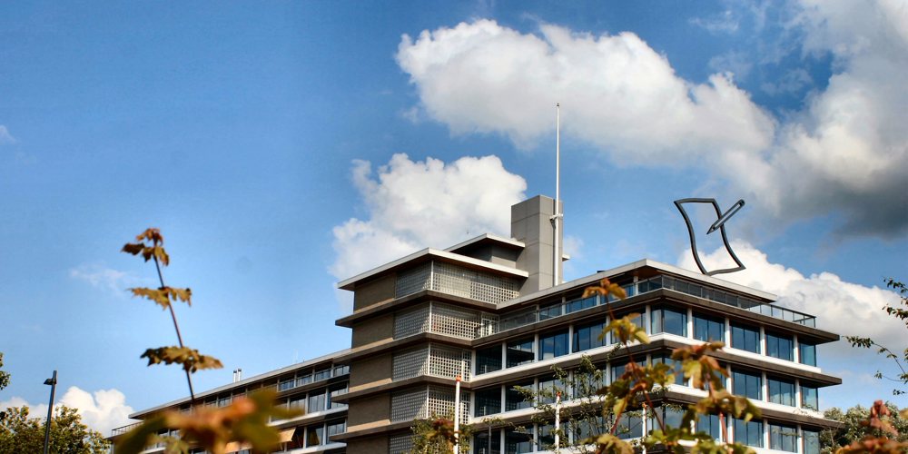 Foto van het provinciehuis tussen de bladeren door