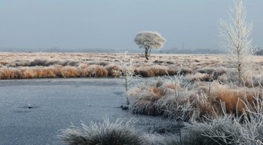 Landschap Wierdense veld: landschap met dauw en bevroren water