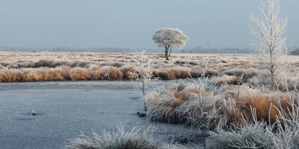 foto van landschap met dauw en bevroren water