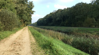 Zandpad met sloot ernaast omringd door bomen