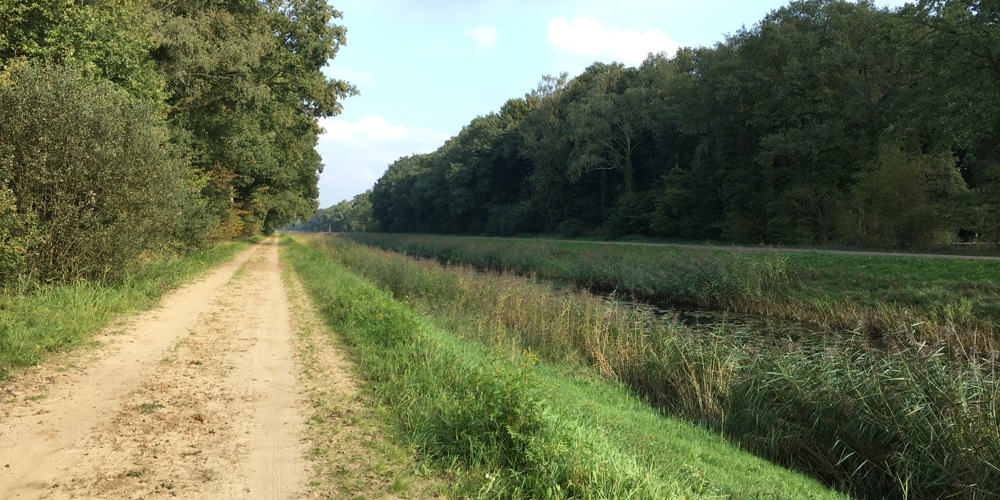 Zandpad met sloot ernaast omringd door bomen