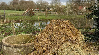 Foto van een broeihoop