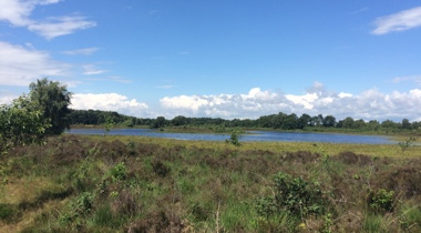 Bergvennen en Brecklenkampse Veld: een plas met bomen eromheen