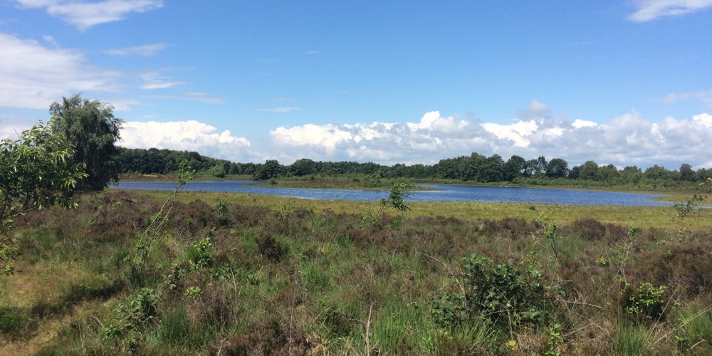 landschap met een plas