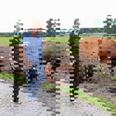 Simone Koggel bij haar koeien die in het weiland liggen en staan