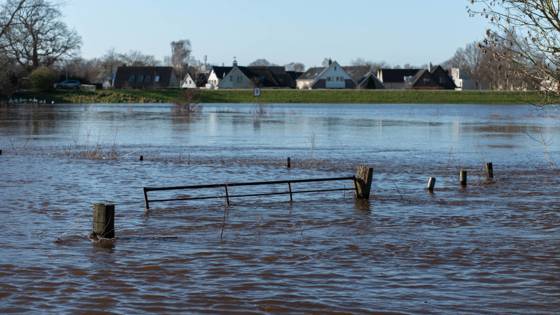 Het beeld toont overstroming in een landelijk gebied, met water dat een hek omringt en huizen in de verte.