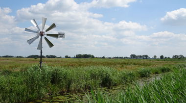 windmolentje in weiland met sloot