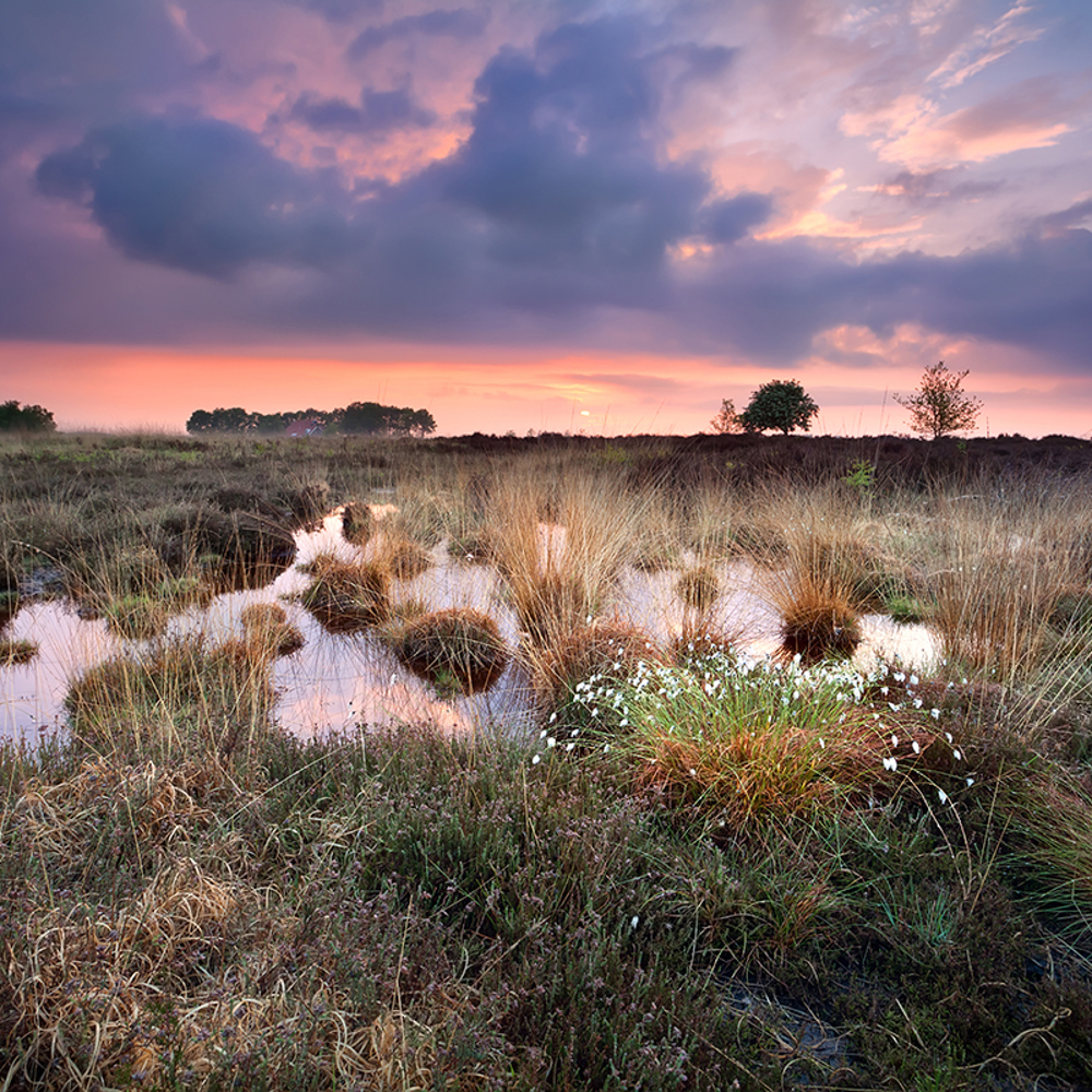 Veenlandschap met een rood blauwe lucht