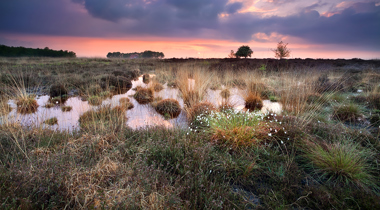 Veenlandschap met een rood blauwe lucht