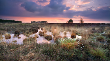Veenlandschap met een rood blauwe lucht