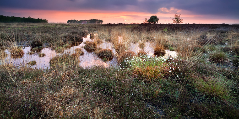 Veenlandschap met een rood blauwe lucht
