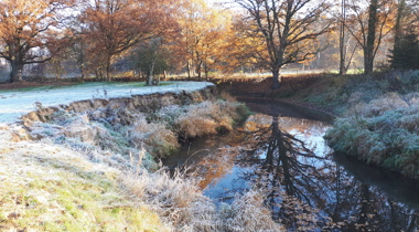 Landschap met dauw en een rivier en bomen op achtergrond