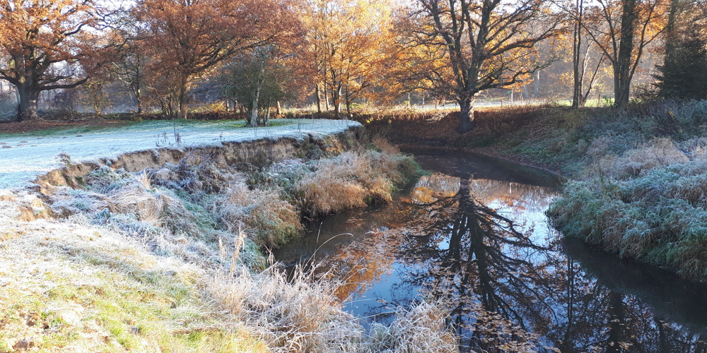 Landschap met dauw en een rivier en bomen op achtergrond