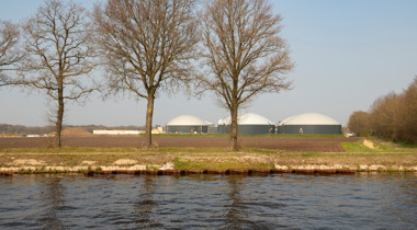 Rijtje bomen met water voor landschap met werkterrein