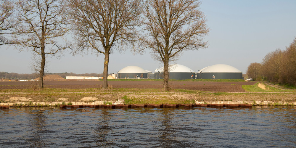 Rijtje bomen met water voor landschap met werkterrein