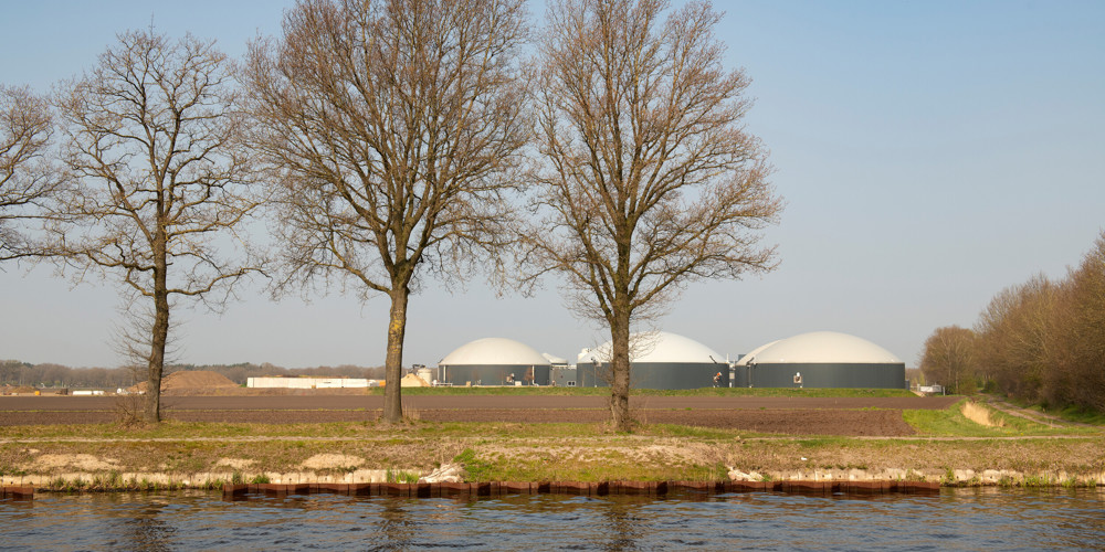 Rijtje bomen met water voor landschap met werkterrein