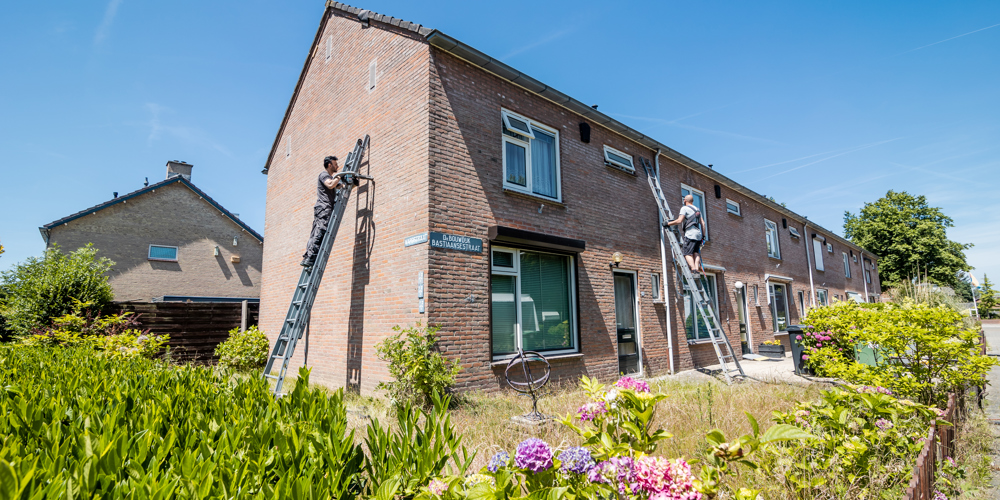 mensen klussen op ladders aan huis rijtjeswoning met op voorgrand groene hoge planten en paarsroze bloemen