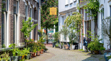 Straat met aan weerszijde huizen, potten met planten voor de deur