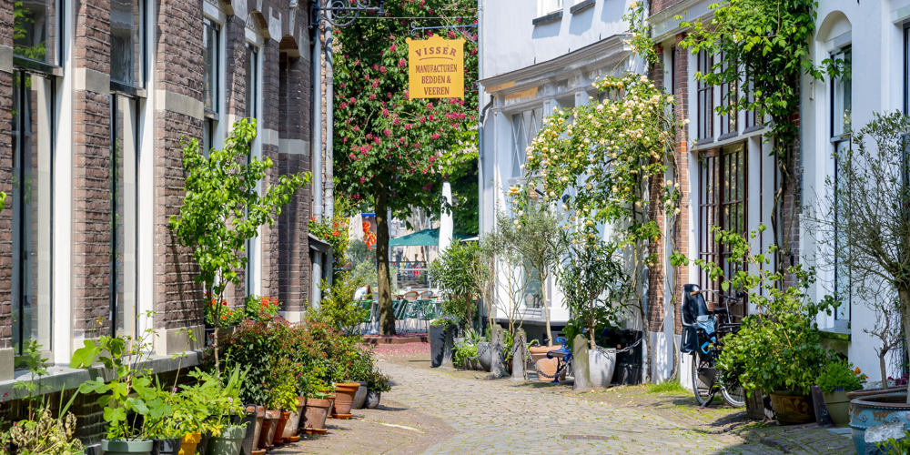Straat met aan weerszijde huizen, potten met planten voor de deur
