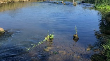 rivier met brug in natuurgebied