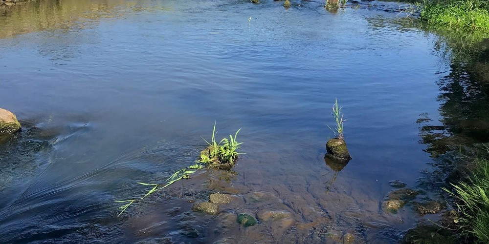 rivier met brug in natuurgebied
