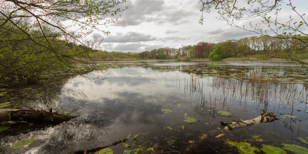 meer met daarachter bomen