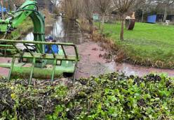 Amfibievoertuig verwijdert waterplanten uit een sloot