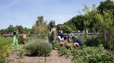 mensen werken gezamenlijk in een tuin