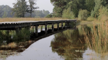 Brug over het water, landschap Buurserzand & Haaksbergerveen