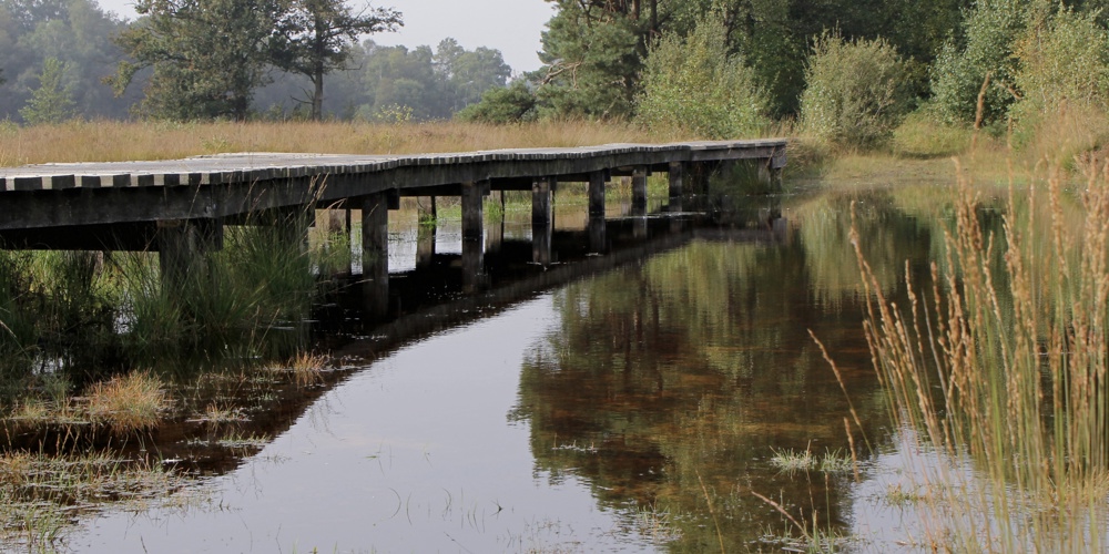 Plas met brug in landschap met bomen