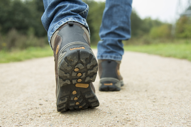 De Groene Karavaan: Wandeling in het Vechtpark