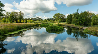Een sloot in een natuurgebied met in het midden hoogstaand gras