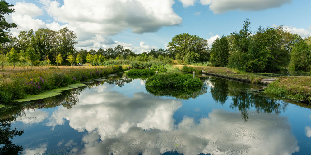 Een sloot in een natuurgebied met in het midden hoogstaand gras