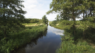 Natuur in de Weerribben