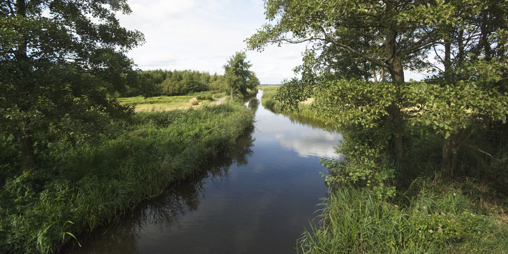 Natuur in de Weerribben