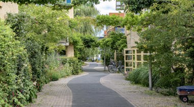 straat met huizen aan beide kanten en veel groen