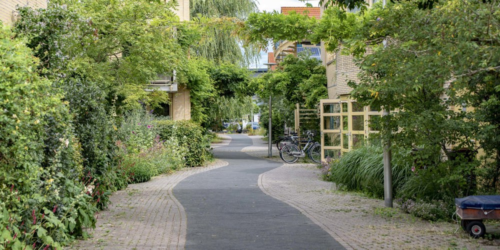 straat met huizen aan beide kanten en veel groen