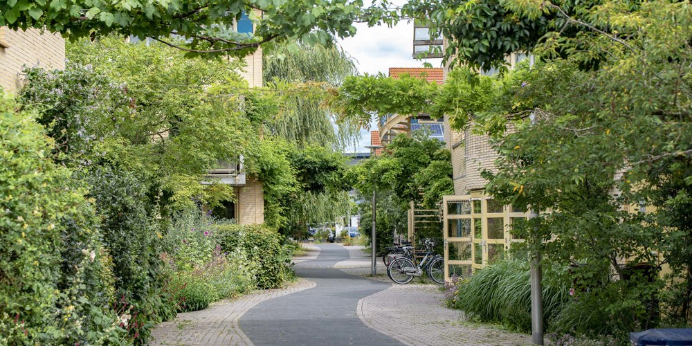 straat met huizen aan beide kanten en veel groen