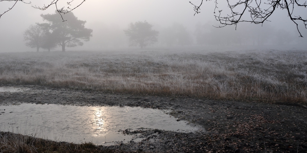 landschap met bevroren water in de mist