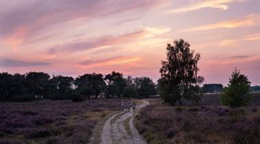 Mensen wandelen op Sprengenberg - Fotograaf Vincent Croce