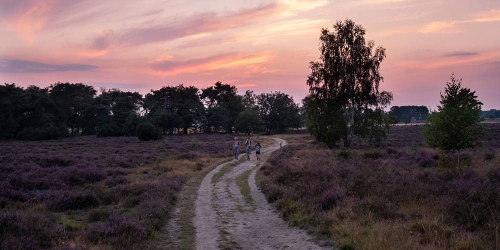 Mensen wandelen op Sprengenberg - Fotograaf Vincent Croce