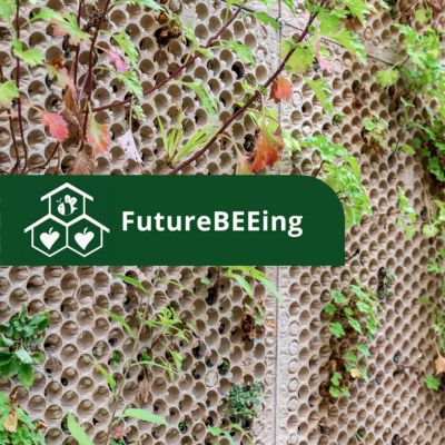 Logo FutureBEEing met als achtergrond een wand met platen die door gaten heengroeien
