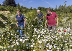 3 personen lopen in een veld met bloemen en struiken