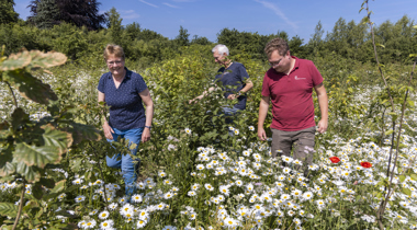 3 personen lopen in een veld met bloemen en struiken